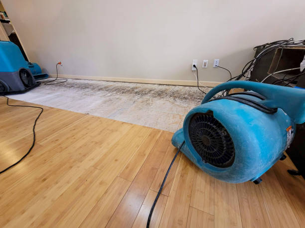 Professional Water Removal technician working in Stonington, CT